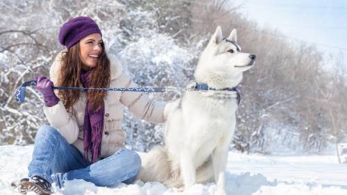1920x1200 Dog Snow Girl Nature Winter 1080p