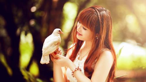 Asian Girl White Bird Dove