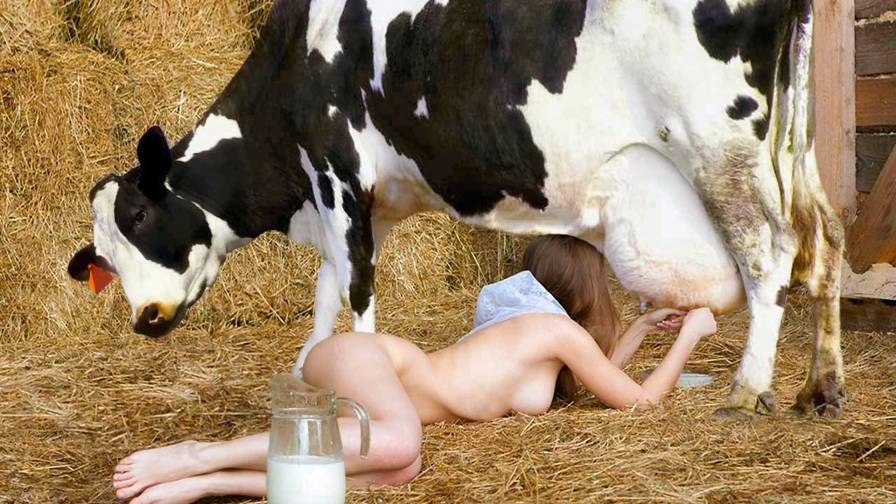 Nude Girl Milking Cow